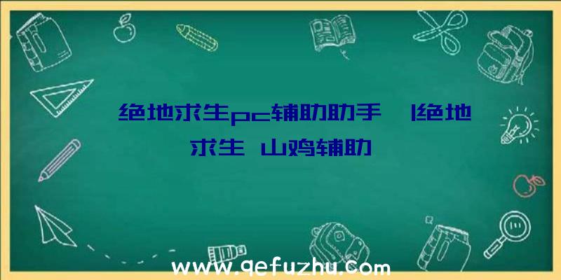 「绝地求生pc辅助助手」|绝地求生